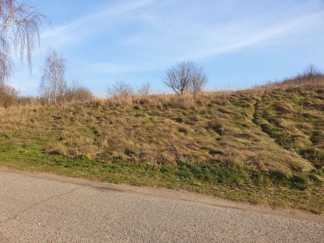 Blick auf Verkaufsfläche und Umgebung - Vertragsfreies Grundstück im Innenbereich von Langhagen in der Mecklenburgischen Seenplatte - Bauplatz