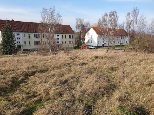 Blick auf Verkaufsfläche und Umgebung - Vertragsfreies Grundstück im Innenbereich von Langhagen in der Mecklenburgischen Seenplatte - Bauplatz