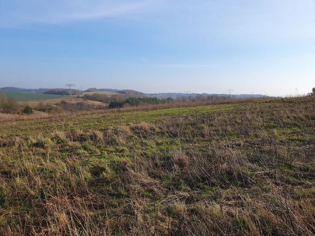 Blick auf rückwärtige Umgebung - Vertragsfreies Grundstück im Innenbereich von Langhagen in der Mecklenburgischen Seenplatte - Bauplatz