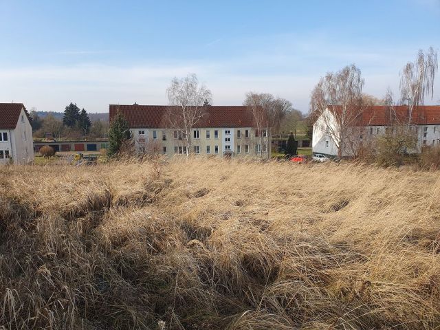Blick auf Verkaufsfläche und Umgebung - Vertragsfreies Grundstück im Innenbereich von Langhagen in der Mecklenburgischen Seenplatte - Bauplatz