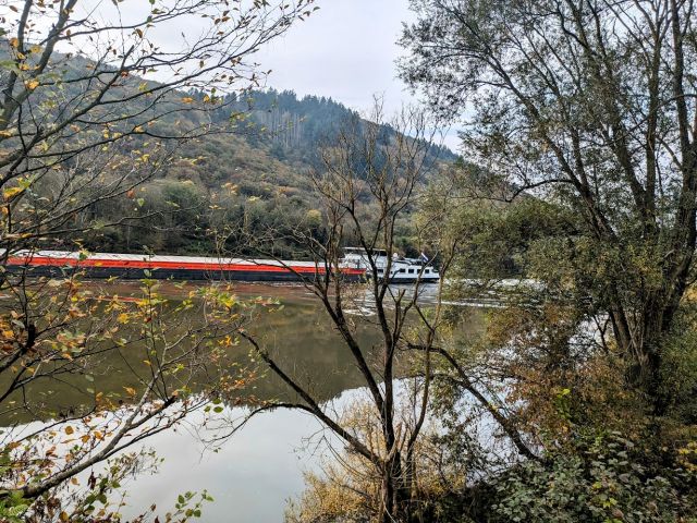 Umgebung - Blick auf die Mosel - Vertragsfreie Waldflächen im Moseltal östlich von Klotten