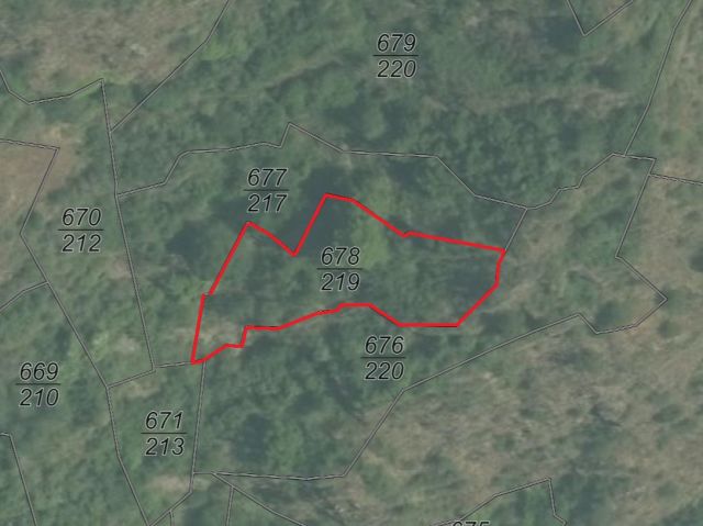 Lageskizze Flur 10 Flurstück 678/219 - Vertragsfreie Waldflächen im Moseltal östlich von Klotten
