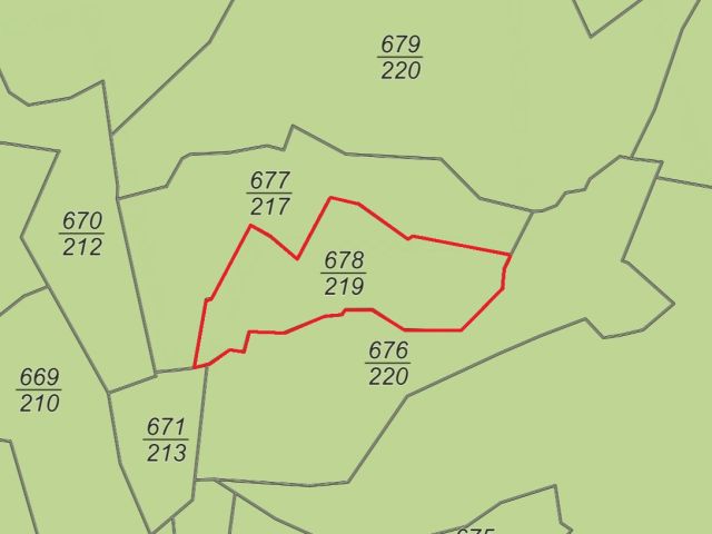 Lageskizze Flur 10 Flurstück 678/219 - Vertragsfreie Waldflächen im Moseltal östlich von Klotten