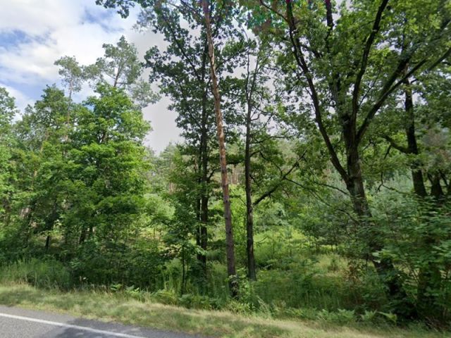 Blick von der L303 auf das Waldgebiet - Waldstreifen mit über 8.700 m² und kleine Splitterfläche im Speckgürtel von Berlin