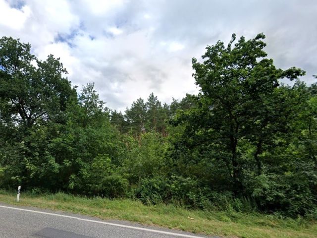 Blick von der L303 auf das Waldgebiet - Waldstreifen mit über 8.700 m² und kleine Splitterfläche im Speckgürtel von Berlin