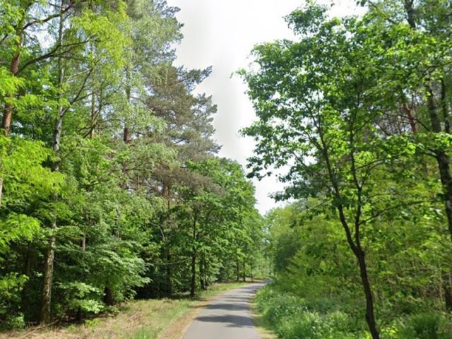 Ansicht Königstraße und Umgebung - Grundstücksstreifen innerhalb eines großen Waldgebietes in der Märkischen Schweiz - teilweise Waldweg