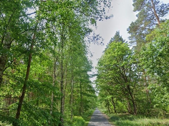 Ansicht Königstraße und Umgebung - Grundstücksstreifen innerhalb eines großen Waldgebietes in der Märkischen Schweiz - teilweise Waldweg