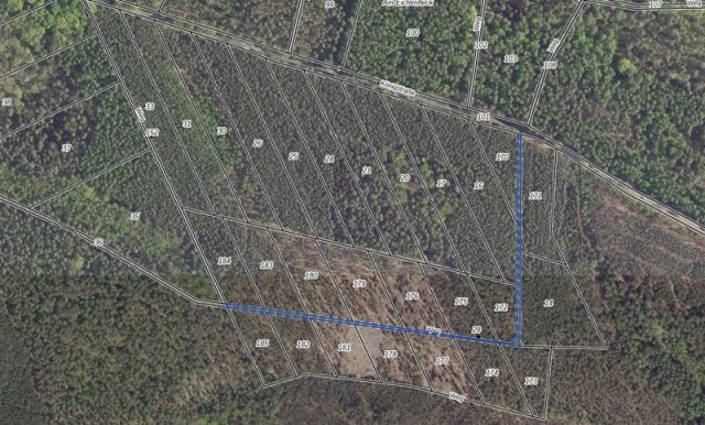 Lageskizze - Grundstücksstreifen innerhalb eines großen Waldgebietes in der Märkischen Schweiz - teilweise Waldweg