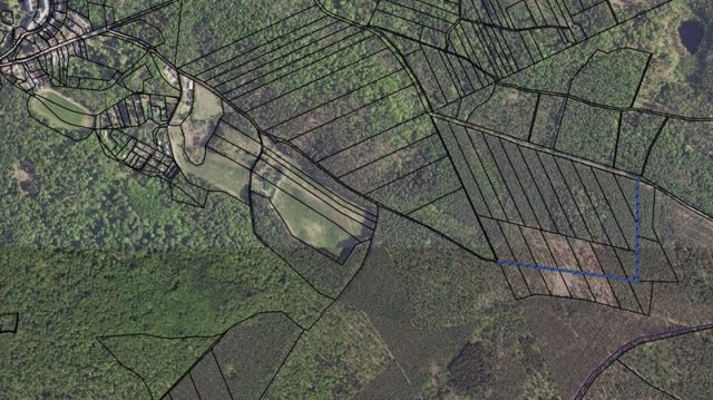 Umgebungsskizze - Grundstücksstreifen innerhalb eines großen Waldgebietes in der Märkischen Schweiz - teilweise Waldweg