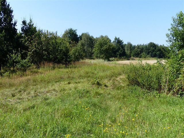 Blick auf Verkaufsfläche und Umgebung - Grünland- und Ackerfläche teilweise mit Strauch- und Baumbewuchs in der südwestlichen Altmark