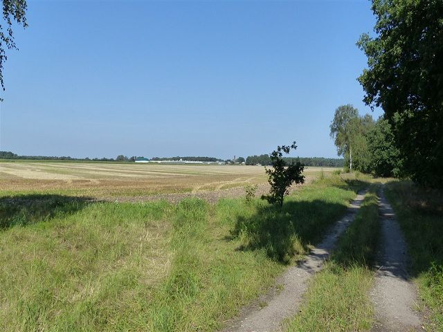 Blick auf Umgebung und Wirtschaftsweg - Grünland- und Ackerfläche teilweise mit Strauch- und Baumbewuchs in der südwestlichen Altmark