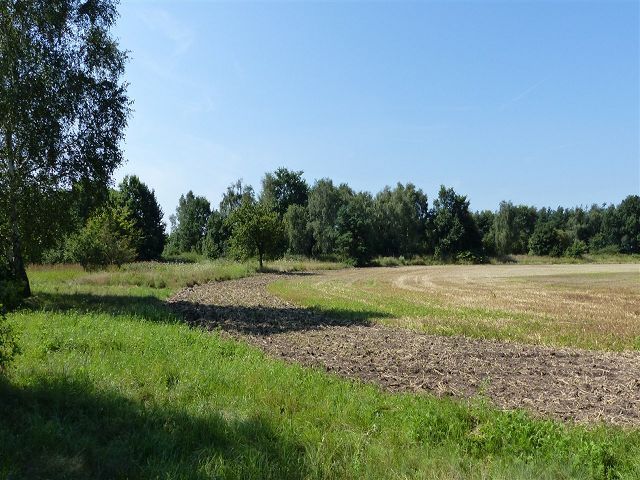 Blick auf Verkaufsfläche und Umgebung - Grünland- und Ackerfläche teilweise mit Strauch- und Baumbewuchs in der südwestlichen Altmark