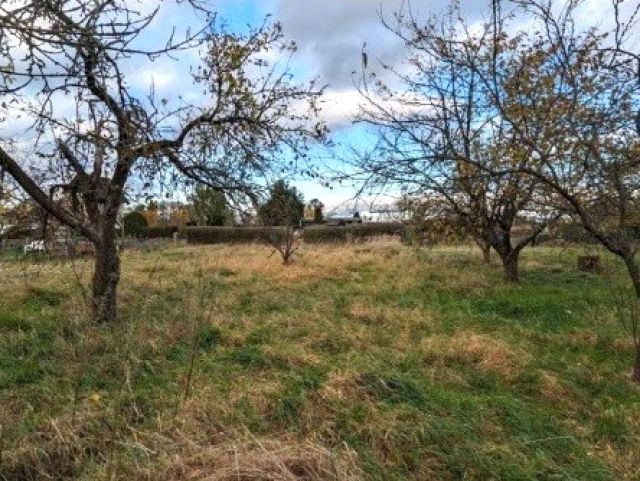 Blick auf Verkaufsfläche und Umgebung Richtung Norden - Vertragsfreier Eigentumsgarten mit einem Aufstellrecht für ein Gartenhaus in einer Kleingartenanlage in Jerichow