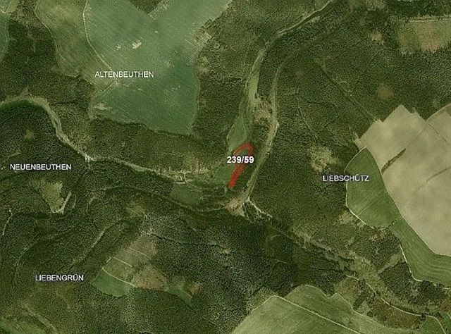 Umgebungsskizze - Wiesen- und Auwaldfläche in Thüringen