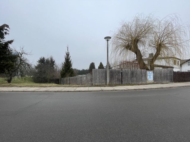 Blick auf Verkaufsfläche und Umgebung - Verwildertes Gartengrundstück mit alter Gartenlaube im Innenbereich zwischen Altenburg, Chemnitz, Zwickau und Gera