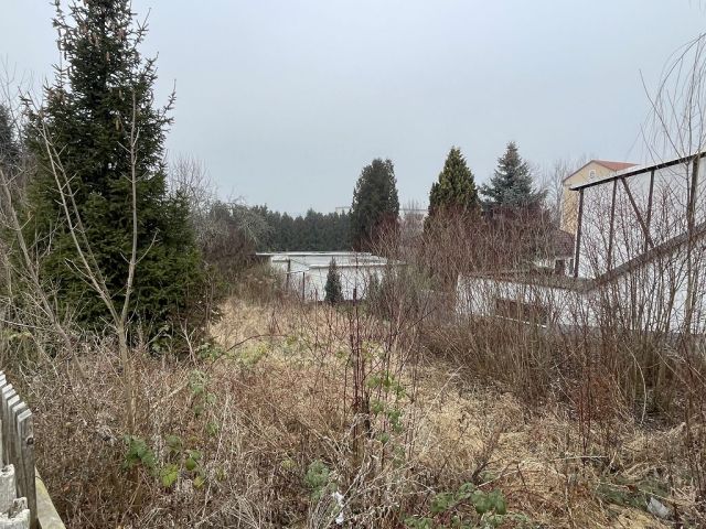 Blick auf Verkaufsfläche und Umgebung - Verwildertes Gartengrundstück mit alter Gartenlaube im Innenbereich zwischen Altenburg, Chemnitz, Zwickau und Gera