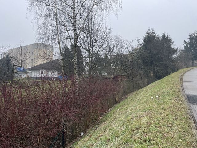 Blick auf Verkaufsfläche und Umgebung - Verwildertes Gartengrundstück mit alter Gartenlaube im Innenbereich zwischen Altenburg, Chemnitz, Zwickau und Gera