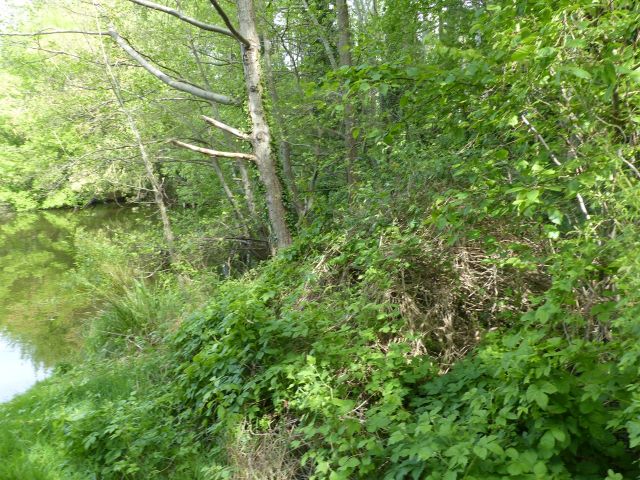 Blick auf den Verkaufsgegenstand mit Umgebung - Laubwald an der Dahme-Wasserstraße & in direkter Nachbarschaft von Bootsliegeplätzen