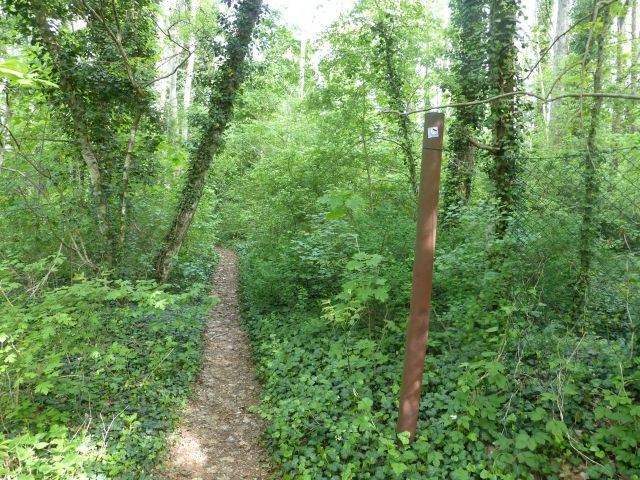 Umgebung - Laubwald an der Dahme-Wasserstraße & in direkter Nachbarschaft von Bootsliegeplätzen