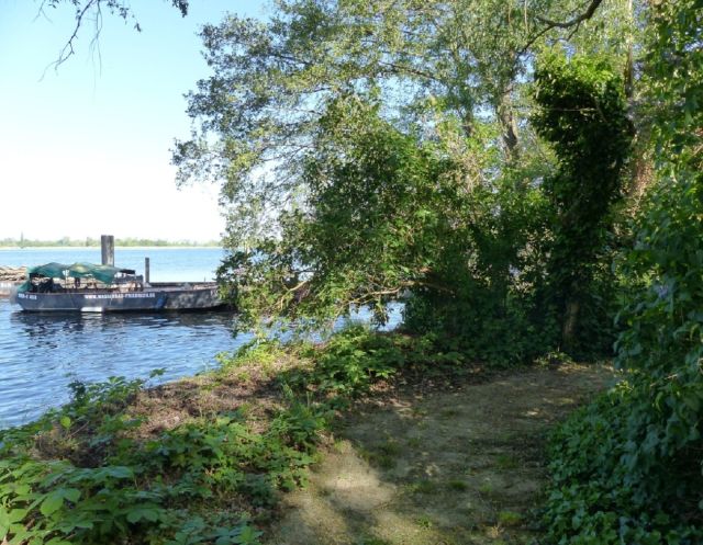 Weg entlang des Havelufers - Vertragslos genutzte, naturbelassene Grünfläche an der Havel