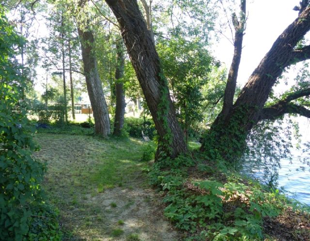 Blick auf den Verkaufsgegenstand mit Umgebung - Vertragslos genutzte, naturbelassene Grünfläche an der Havel