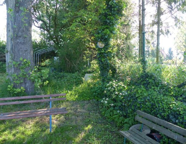 Blick auf den Verkaufsgegenstand - Vertragslos genutzte, naturbelassene Grünfläche an der Havel