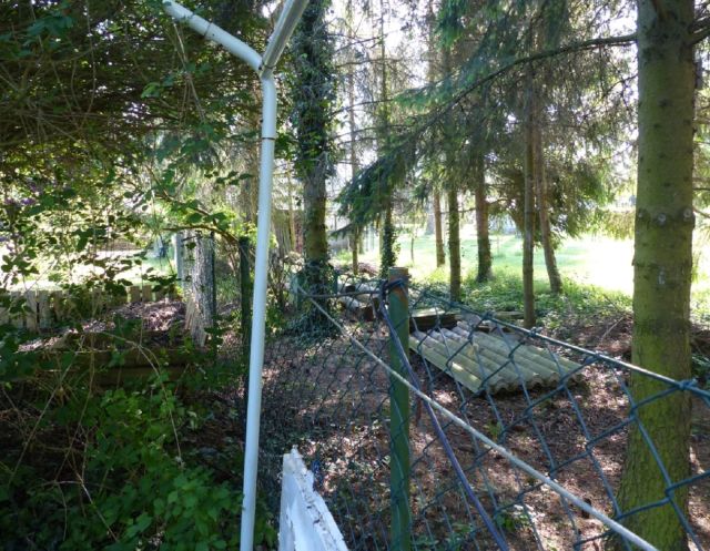Blick auf den Verkaufsgegenstand mit Umgebung - Vertragslos genutzte, naturbelassene Grünfläche an der Havel