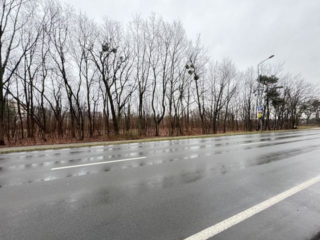 Blick auf Verkaufsfläche und Umgebung - Teil eines mit Bäumen und Sträuchern bewachsenen Grünzuges an der B97 in Hoyerswerda