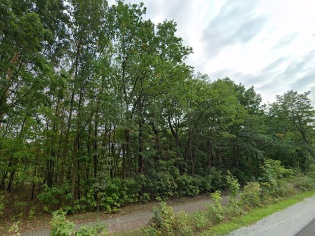 Blick auf Verkaufsfläche und Umgebung - Teil eines mit Bäumen und Sträuchern bewachsenen Grünzuges an der B97 in Hoyerswerda