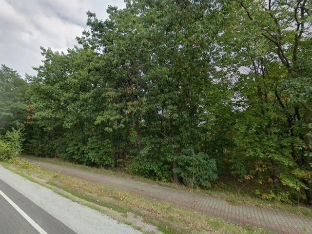 Blick auf Verkaufsfläche und Umgebung - Teil eines mit Bäumen und Sträuchern bewachsenen Grünzuges an der B97 in Hoyerswerda