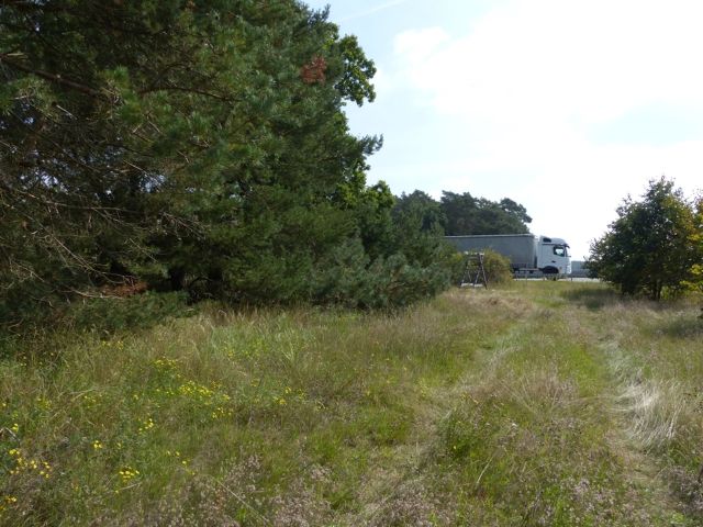 Blick auf den Verkaufsgegenstand mit Umgebung - Vertragsfreier Wald an der BAB 2 nahe Brandenburg an der Havel