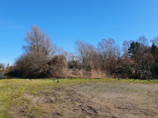 Blick Richtung Verkaufsfläche und auf die Umgebung - Großes, naturbelassenes Erholungsgrundstück an einem Kanal, gegenüber von Wohnbebauung und neben einer Gartenanlage