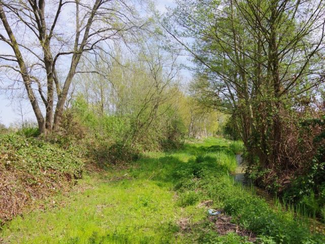 Blick auf Verkaufsfläche und Umgebung - Großes, naturbelassenes Erholungsgrundstück an einem Kanal, gegenüber von Wohnbebauung und neben einer Gartenanlage