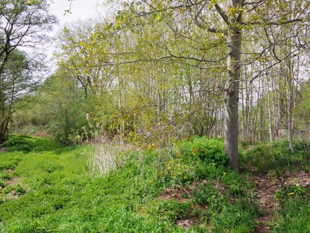 Blick auf Verkaufsfläche und Umgebung - Großes, naturbelassenes Erholungsgrundstück an einem Kanal, gegenüber von Wohnbebauung und neben einer Gartenanlage