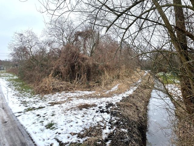 Blick auf Verkaufsfläche und Umgebung - Großes, naturbelassenes Erholungsgrundstück an einem Kanal, gegenüber von Wohnbebauung und neben einer Gartenanlage