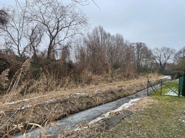 Blick auf Verkaufsfläche und Umgebung - Großes, naturbelassenes Erholungsgrundstück an einem Kanal, gegenüber von Wohnbebauung und neben einer Gartenanlage