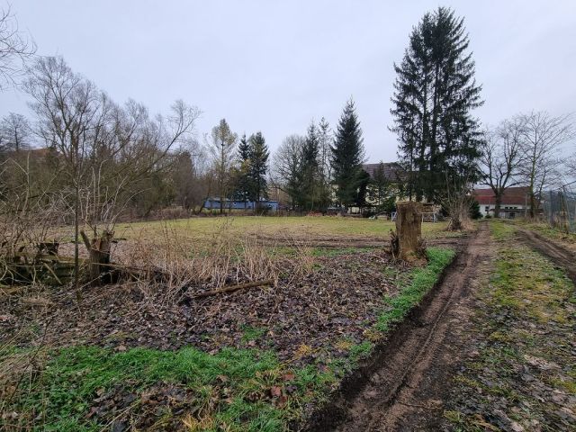 Blick auf Verkaufsfläche und Umgebung - Große Freifläche hinter Wohngrundstücken ca. 30 km von Erfurt entfernt - teilweise genutzt