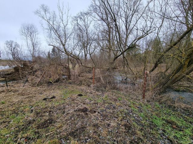 Blick auf Verkaufsfläche westlicher Bereich und Umgebung - Große Freifläche hinter Wohngrundstücken ca. 30 km von Erfurt entfernt - teilweise genutzt