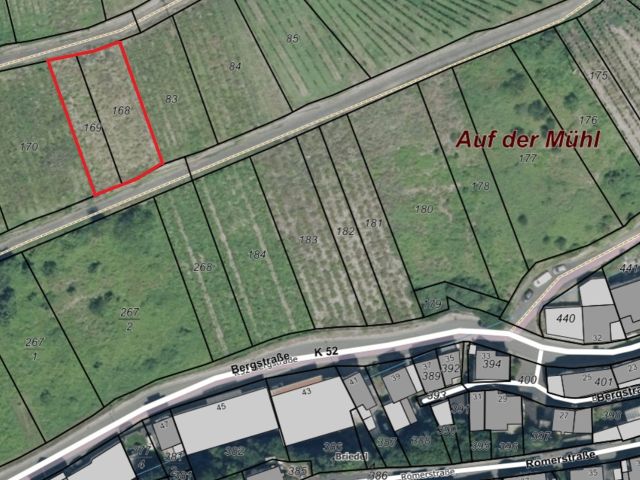 Lageskizze - Vertragsfreier Weinberg mit der Rebsorte Riesling **im alten Weinort an der Mittelmosel**