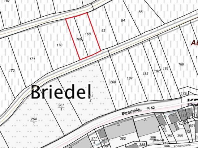 Lageskizze - Vertragsfreier Weinberg mit der Rebsorte Riesling **im alten Weinort an der Mittelmosel**