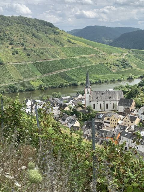 Blick von der Verkaufsfläche auf Briedel und die Umgebung - Vertragsfreier Weinberg mit der Rebsorte Riesling **im alten Weinort an der Mittelmosel**
