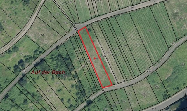 Lageskizze - Vertragsfreier Weinberg mit der Rebsorte Riesling **im alten Weinort an der Mittelmosel**