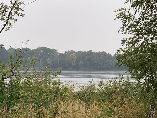 Umgebung - Baggersee Gusow - Vertragsfreie Waldfläche nahe dem Baggersee & dem Schloss Gusow