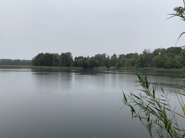 Umgebung - Baggersee Gusow - Vertragsfreie Waldfläche nahe dem Baggersee & dem Schloss Gusow