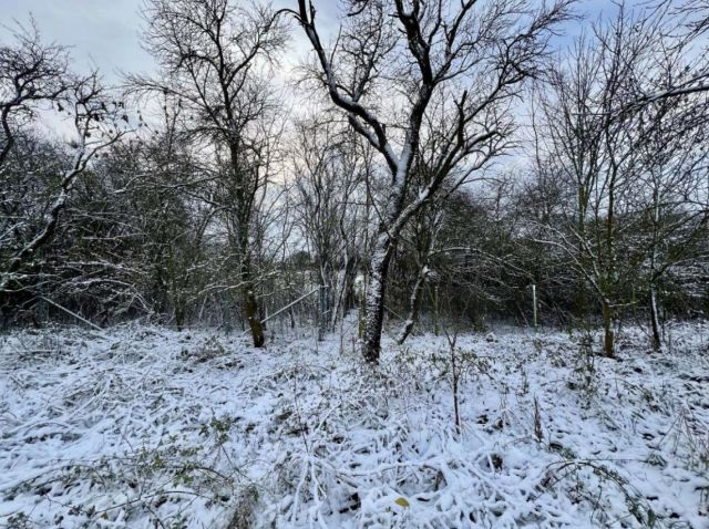 Grundstück mit Blick Richtung Südwesten - Leerstehendes Einfamilienhaus auf großem Grundstück **ca. 30 km östlich von Magdeburg**