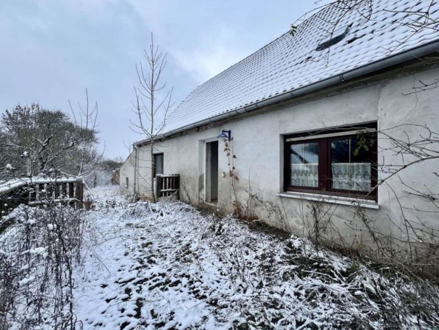 Terrasse  - Leerstehendes Einfamilienhaus auf großem Grundstück **ca. 30 km östlich von Magdeburg**