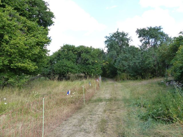 Blick auf östliche Grundstücksgrenze und den unbefestigten Weg - Als Weideland verpachtete Grünfläche partiell mit Gehölzbewuchs östlich von Berlin