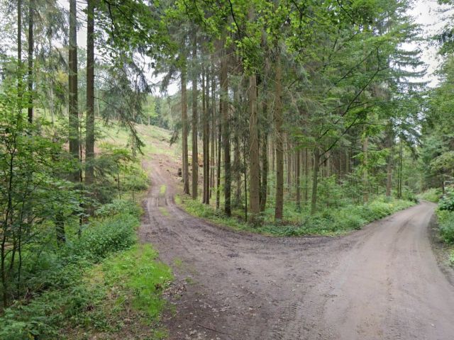 Blick auf den Verkaufsgegenstand - Unbefestigte Verkehrsfläche entlang des Scheidebaches **vertragslose Nutzung**