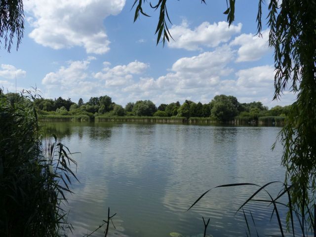 Blick auf den Waschbanksee und die Umgebung Richtung Verkaufsfläche - Teilweise bestocktes Grünland am ´Waschbanksee´ in Müncheberg östlich von Berlin
