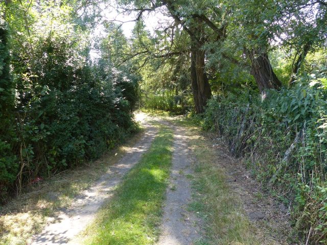 Blick auf Umgebung und Weg (Fremdflurstück 315) zum Verkaufsgegenstand - Teilweise bestocktes Grünland am ´Waschbanksee´ in Müncheberg östlich von Berlin